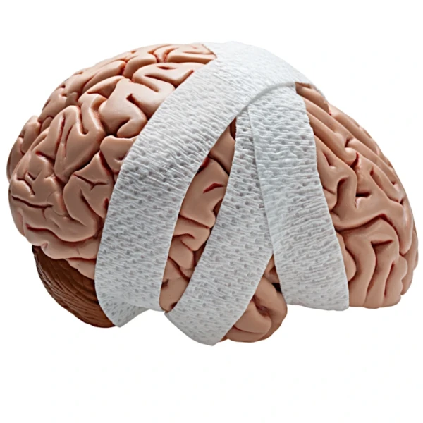 BRAIN HEALING SERIES: LEVEL 1 – CONCUSSIONS